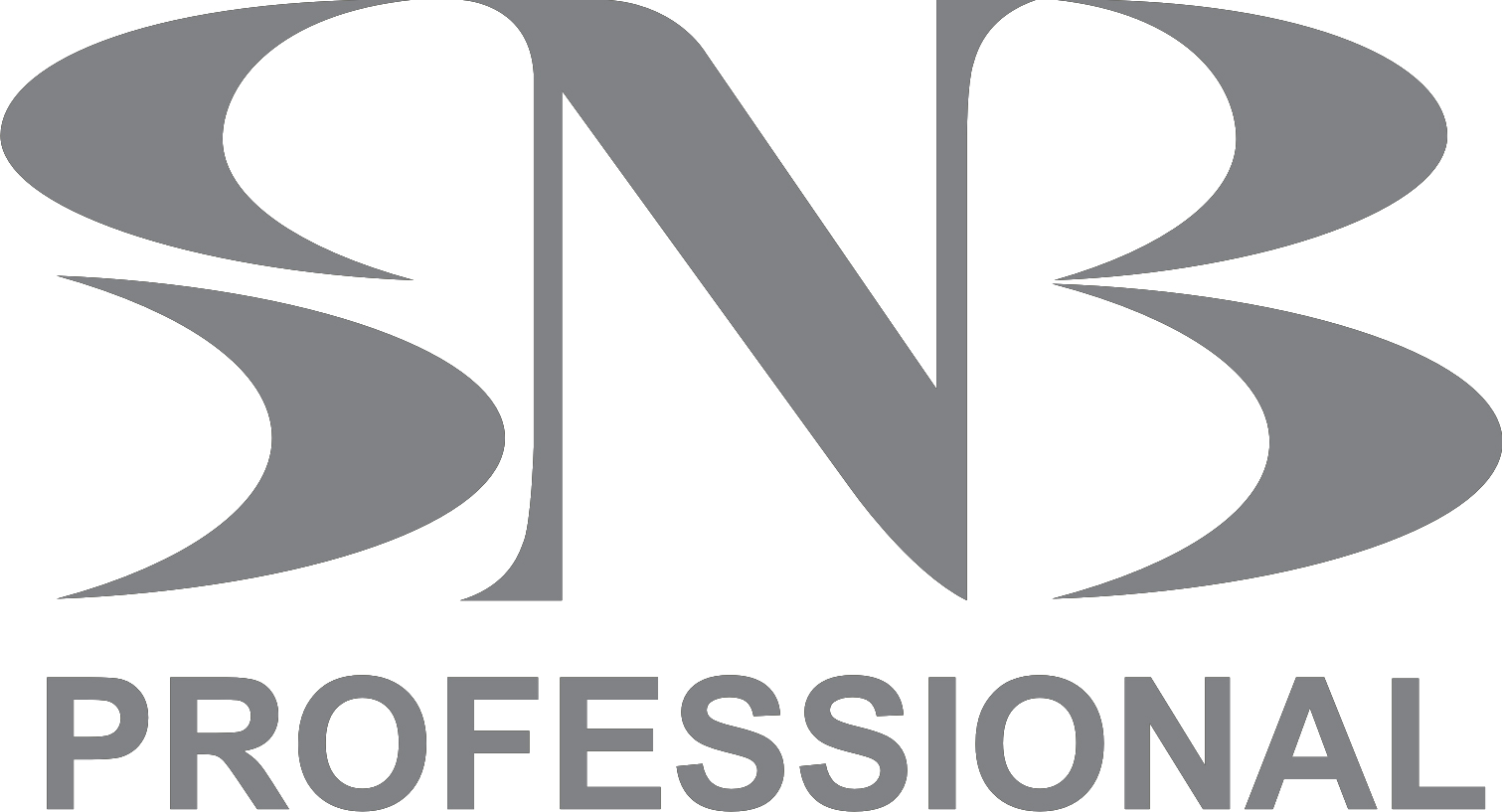 logo-snb-professional